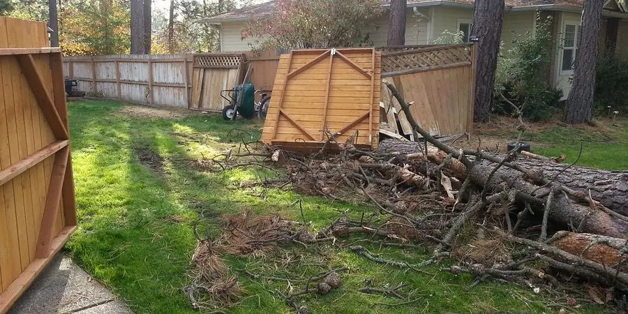 Tree Removal & Disaster Clean Up